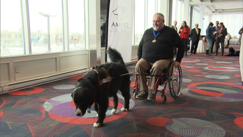 Heroic Quebec service dogs honoured at special ceremony