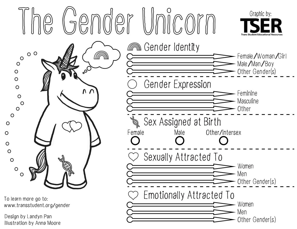 School Stops Teacher From Handing Out Gender Identity Worksheet 4495