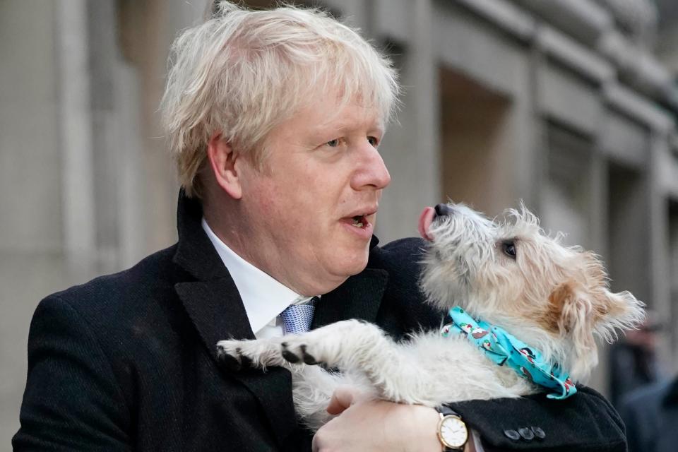 British Prime Minister Boris Johnson poses as he cast his vote with dog Dilyn, on December 12, 2019 in London, England. The current Conservative Prime Minister Boris Johnson called the first UK winter election for nearly a century in an attempt to gain a working majority to break the parliamentary deadlock over Brexit. The election results from across the country are being counted overnight and an overall result is expected in the early hours of Friday morning.