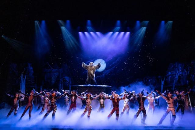 Cats' brings iconic musical to Fox Cities Performing Arts Center