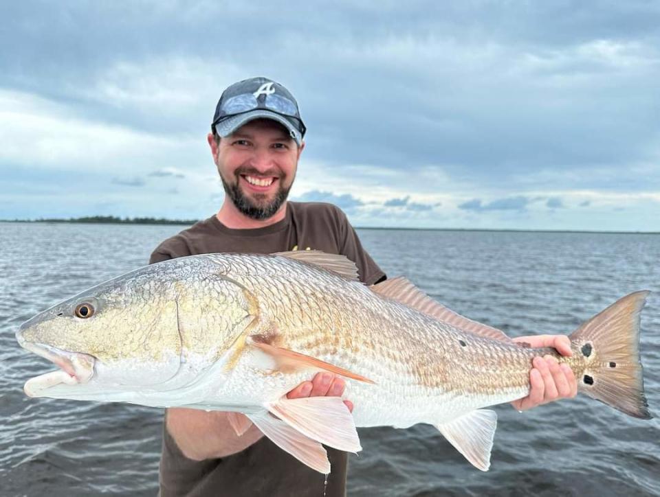 Researchers are finding prescription medications in redfish caught in Florida waters.