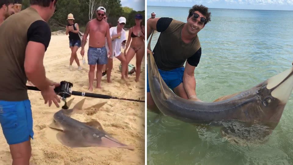 Tourists on board a local tour bus got their money's worth when they witnessed the 25-year-old land the shark. Source: Supplied