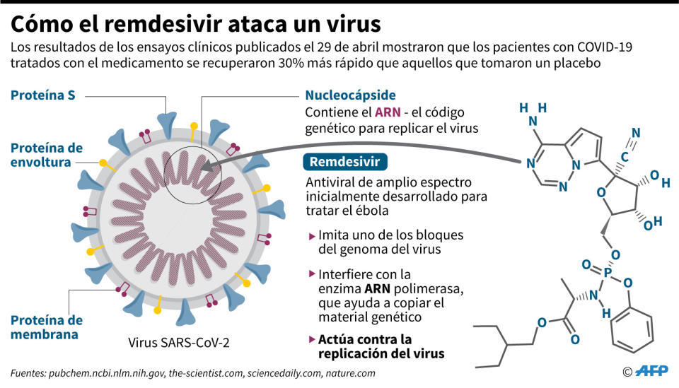 Diagrama explicativo sobre cÃ³mo el medicamento antiviral remdesivir actÃºa contra la replicaciÃ³n del coronavirus (AFP | John SAEKI)