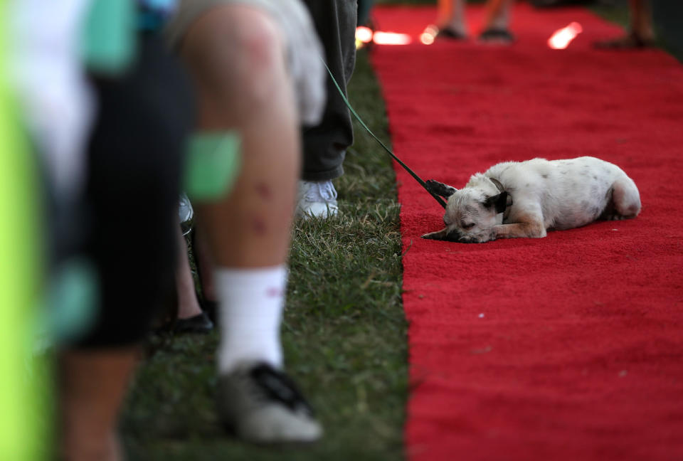 <p>A competitor naps on the red carpet in the middle of the competition. (Justin Sullivan/Getty Images)</p>