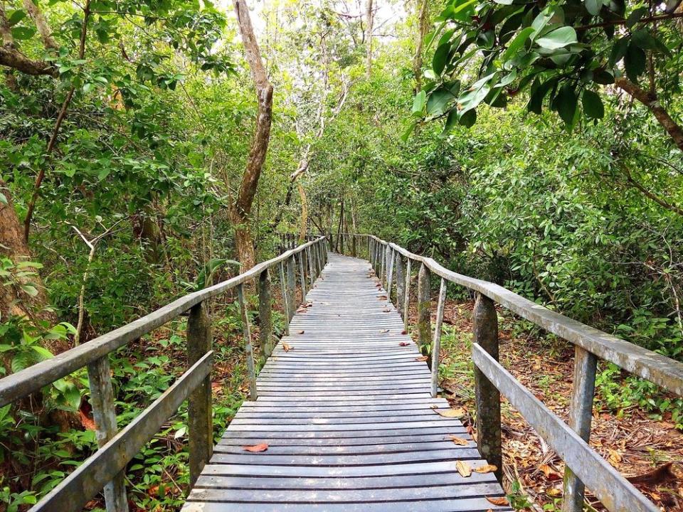 Canopy Walk en Costa Rica 