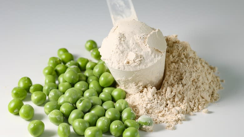 plant base protein powder in scoop