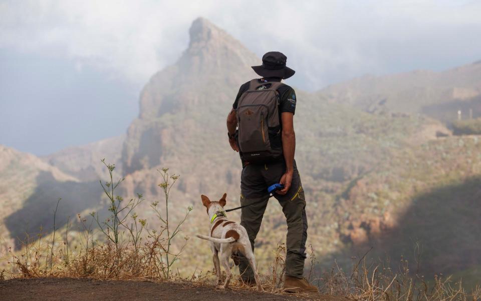 A volunteer with a search dog in the mountains close to where Jay Slater was last seen