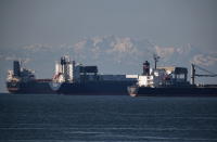 Cargo ships sit at anchor on English Bay, in Vancouver, on Thursday, February 20, 2020. Rail blockades across the country have led to an increase in the number of cargo ships waiting to load or unload according to the Port of Vancouver. (Darryl Dyck/The Canadian Press via AP)