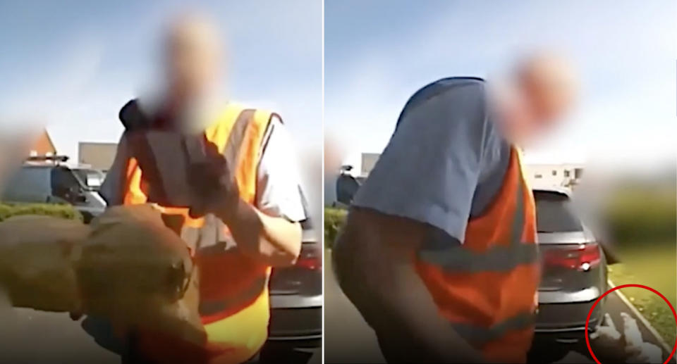 The Royal Mail postman appears to kick the family dog while delivering the mail.  Source: Manchester Evening News