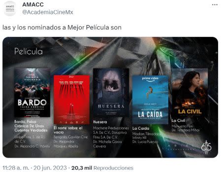 Nominadas a mejor película 