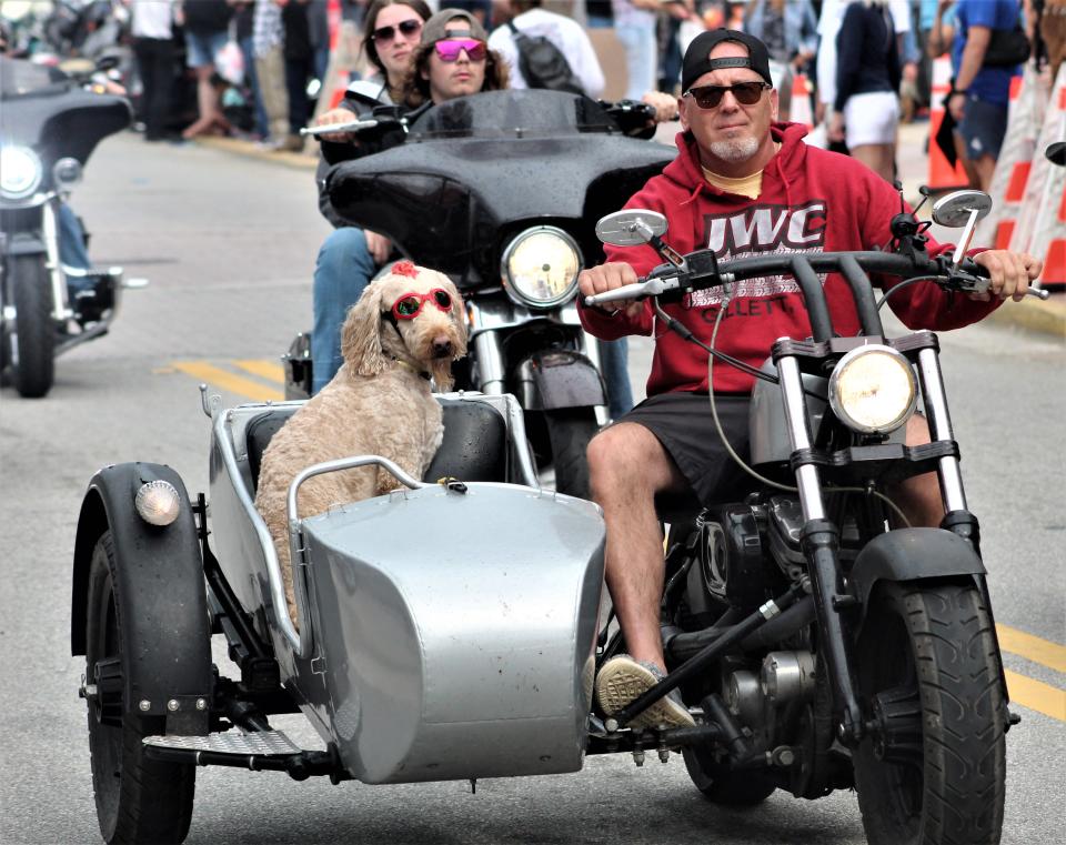 A biker and his dog roll along Main Street during Bike Week in Daytona Beach. More than 420,000 visitors stopped at three Bike Week hot spots -- Main Street, Daytona International Speedway and Dr. Mary McLeod Bethune Boulevard -- during the 10-day event, according to estimates based on "location intelligence" from cell phones.
