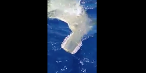 Fishermen catch on camera moment 14ft 'sea creature' surfaces