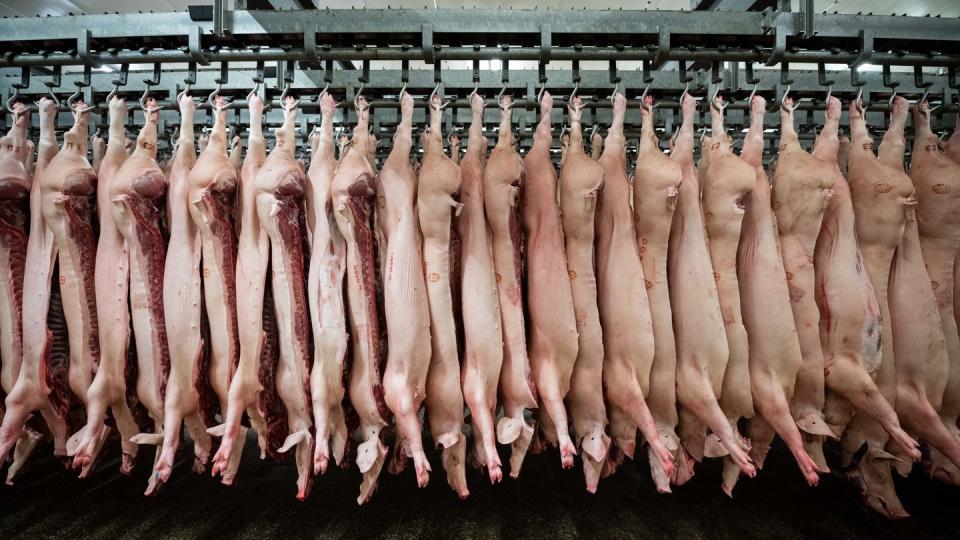 Der Entwurf des Arbeitsschutzkontrollgesetzes sieht vor, dass Kerntätigkeiten in der Fleischwirtschaft wie Schlachten, Zerlegen und Verarbeiten künftig nicht mehr von betriebsfremden Beschäftigten ausgeführt werden dürfen.
