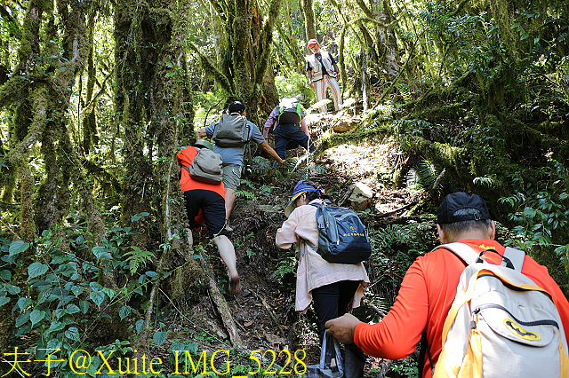 IMG_5228.jpg - 宜蘭南山部落迷霧森林 2018/07/28