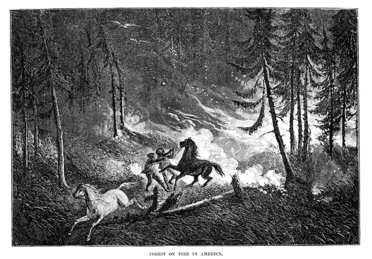 The 1881 Thumb Fire