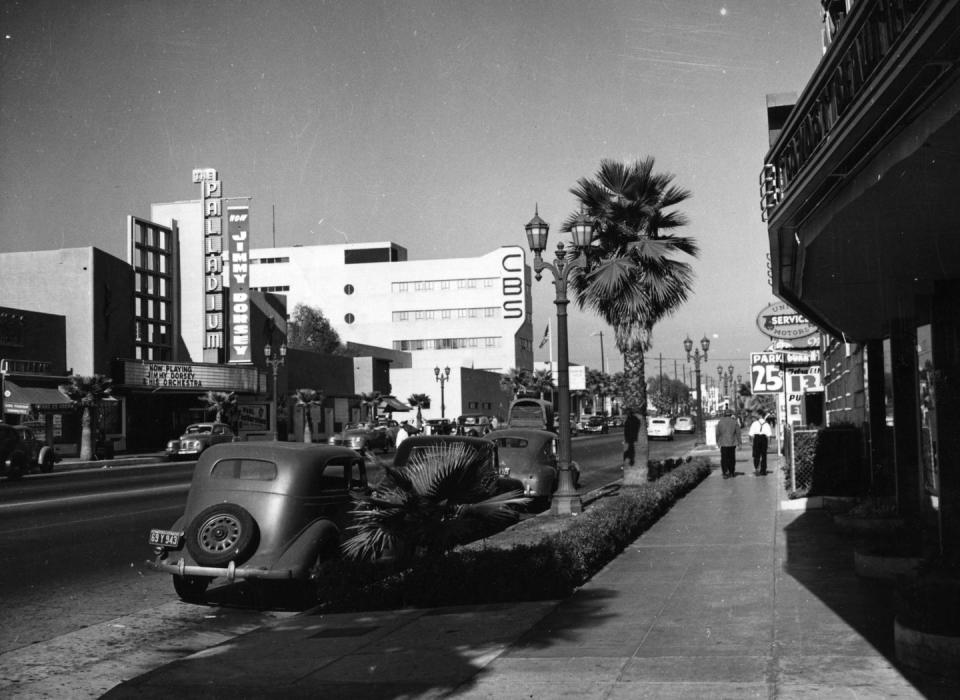 <p>On a seemingly more peaceful day in 1945, you can see a palm tree along the side of Sunset Boulevard in Los Angeles. </p>