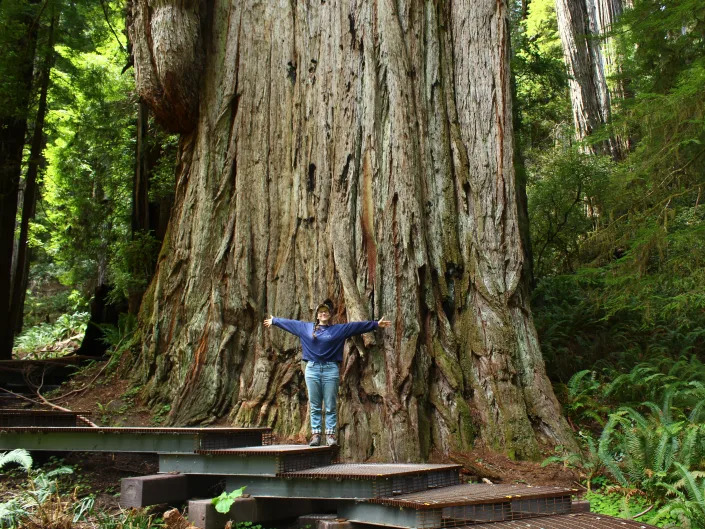 The writer posing in front of a giant redwood tree in Redwoods National Park