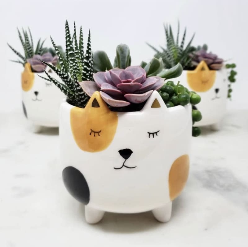 Cat Planter