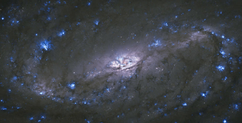 NGC 2903.