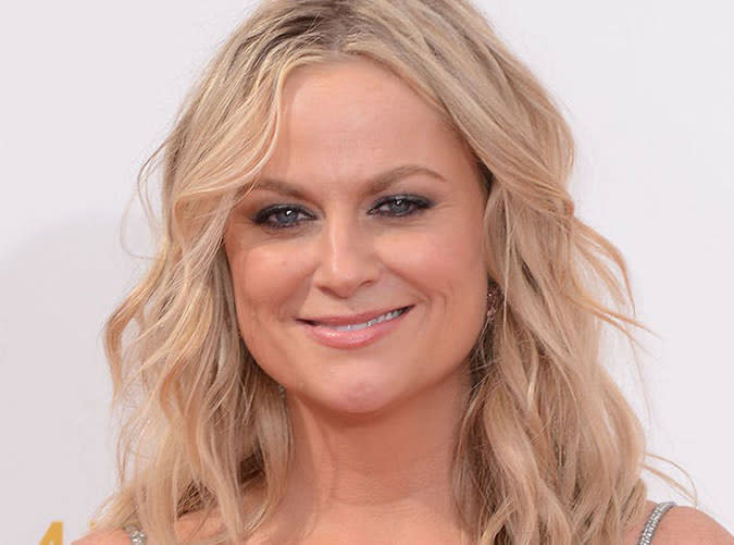 2014: Amy Poehler's Gunmetal Eyes