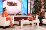 <p>Alison Brie chats with host Ellen DeGeneres about the first time they met on Monday’s episode of <i>The Ellen DeGeneres Show</i> in Burbank, California. </p>