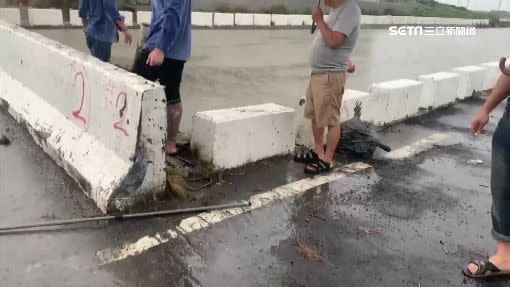 民眾表示排水溝的小魚被沖到馬路上。