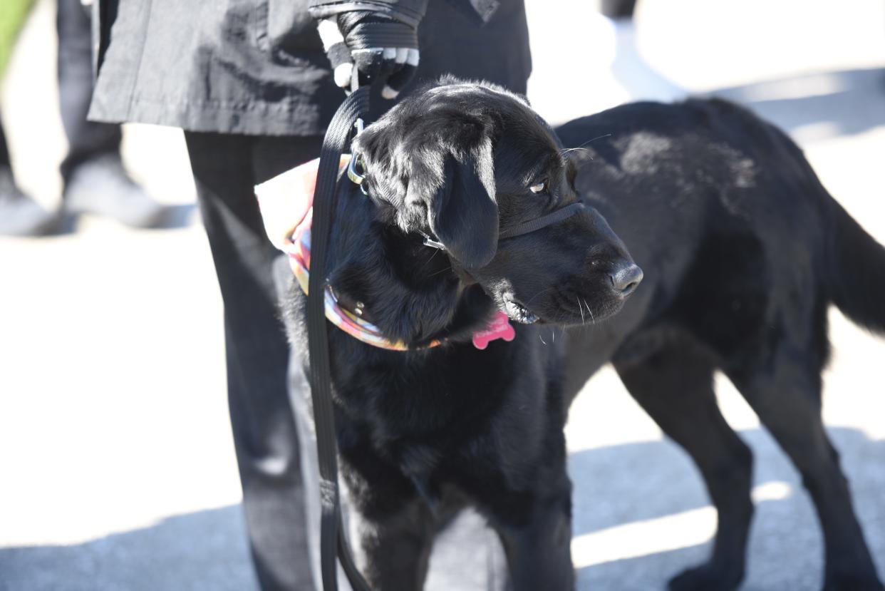 Carbon, who works with the St. Clair County Prosecutor's Office to comfort victims and witnesses, was on site for the flower toss.