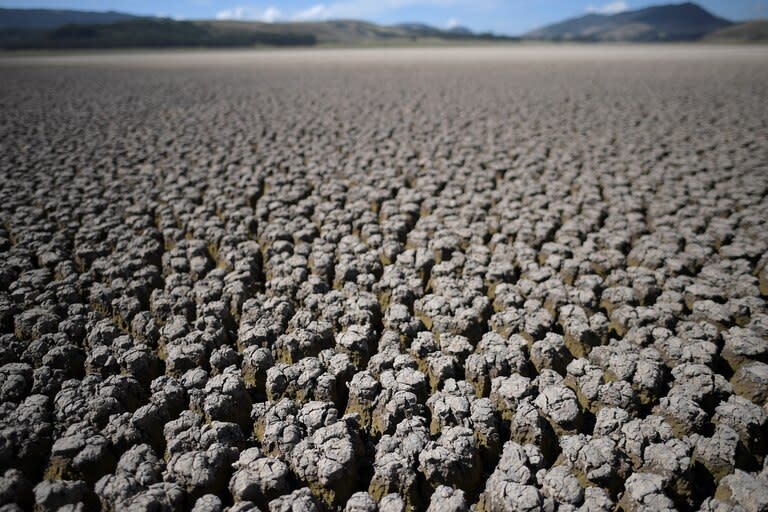 Se prevé que la demanda de todos los combustibles fósiles crezca significativamente en 2021