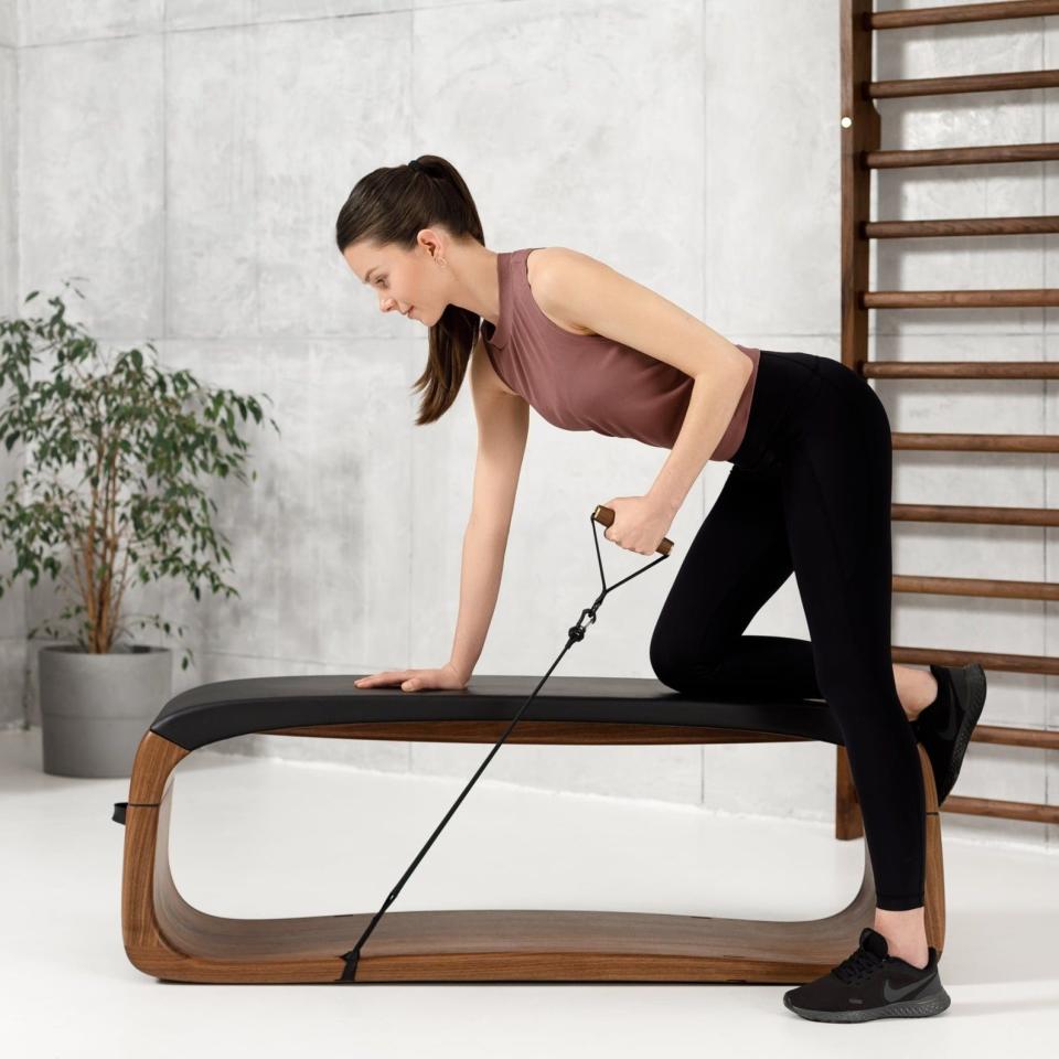 Premium Fitness Bench