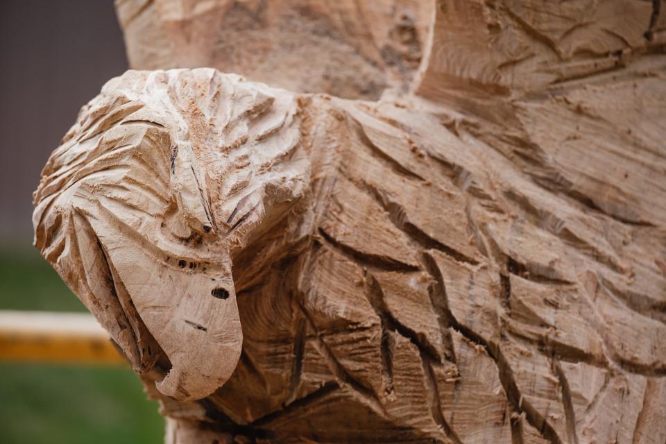 Woodworker Dan Kidd is creating a big attacking eagle on private property in Sherrodsville.