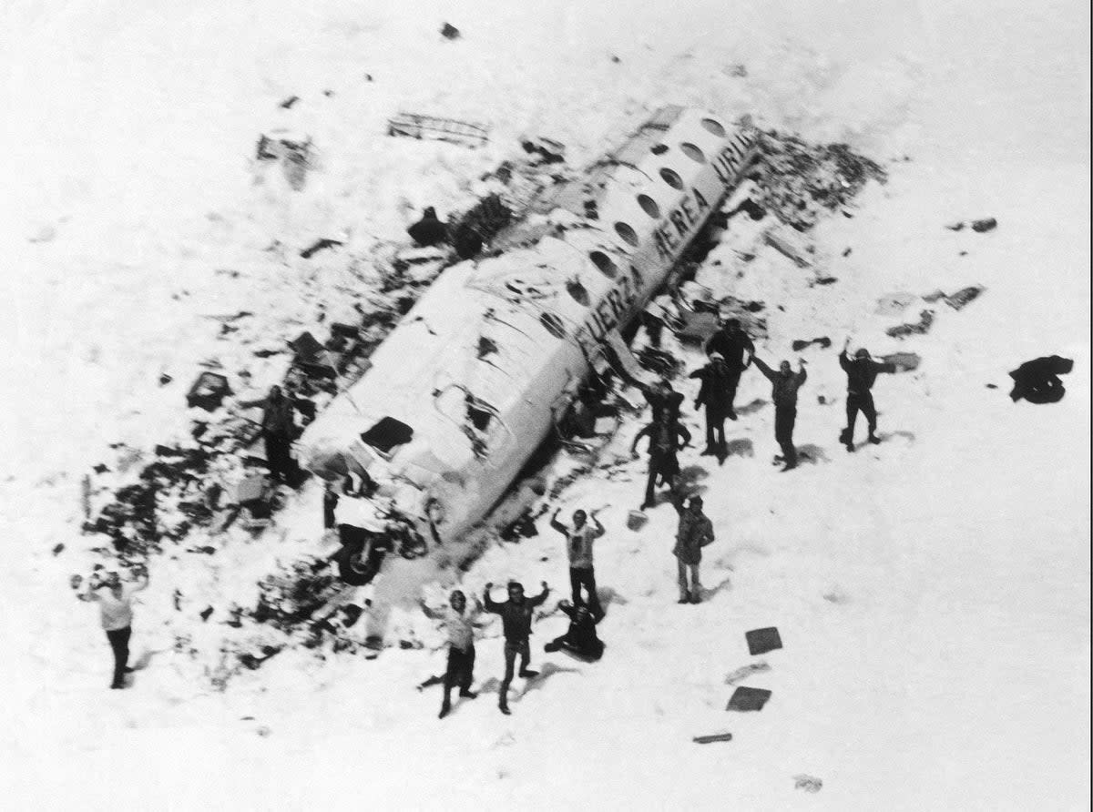 ‘Society of the Snow’ tells the horrifying true story of the 1972 disaster (Sipa/Shutterstock)