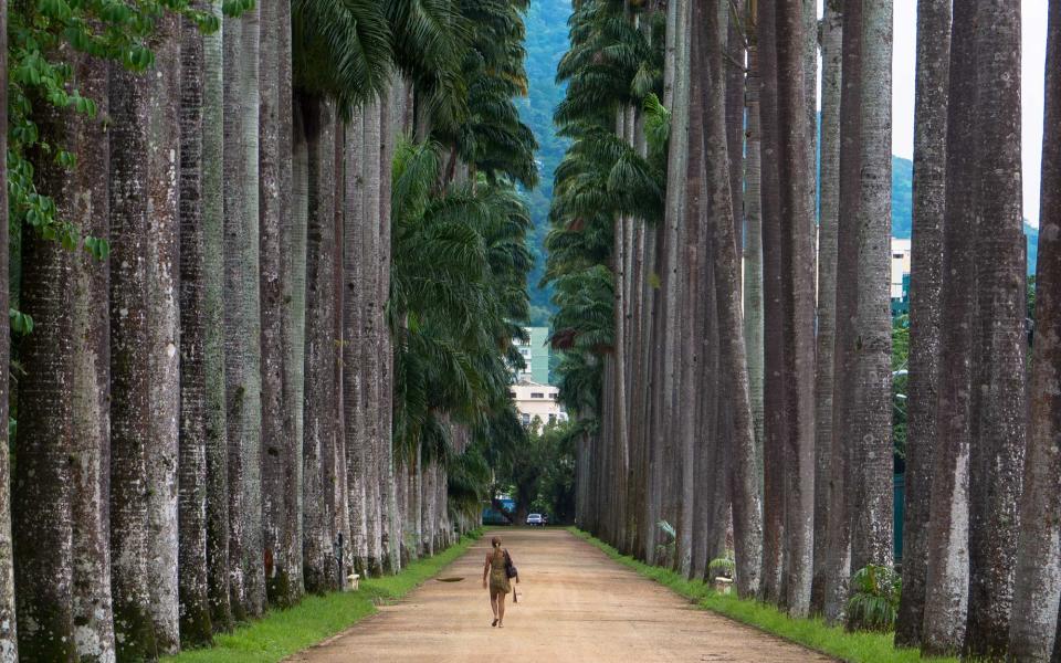 Jardim Botânico do Rio de Janeiro