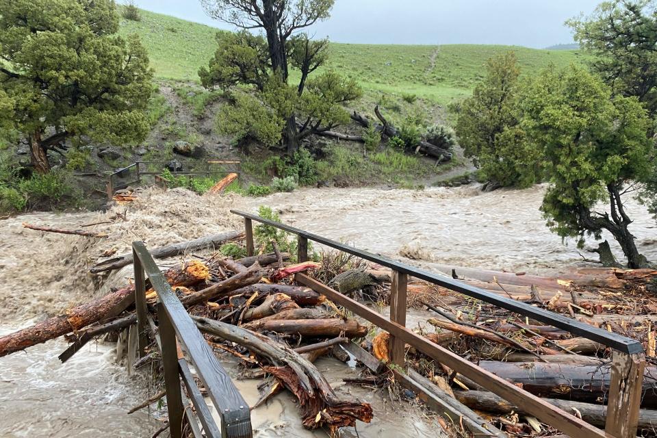 logs branches piled up in raging river where bridge used to be