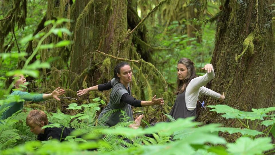 “Dancing to the Music of the Forest” combines live dance and video set to a soundtrack created by converting trees’ electrical signals to musical notes. Dancers include, from left, Alice Grendon, Carly Melchers, Stephanie Kriege Pederson and Katie Wild.