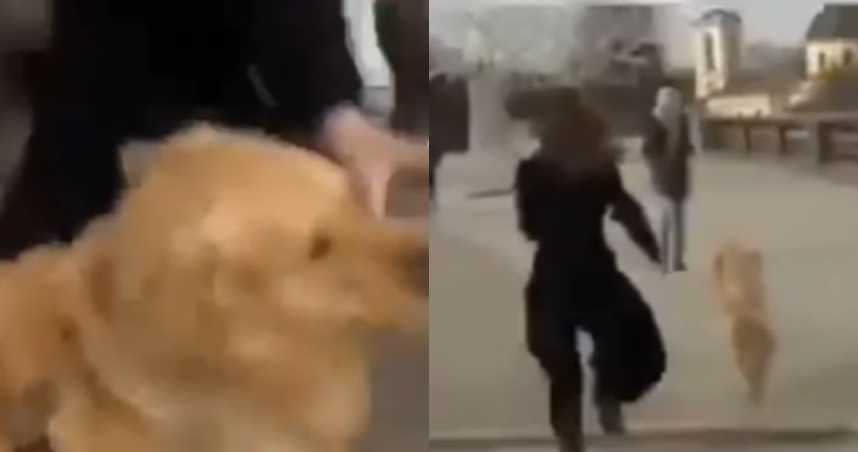 俄羅斯一隻小狗搶走正在播報新聞的記者手中的麥克風。（圖／翻攝自YouTube）
