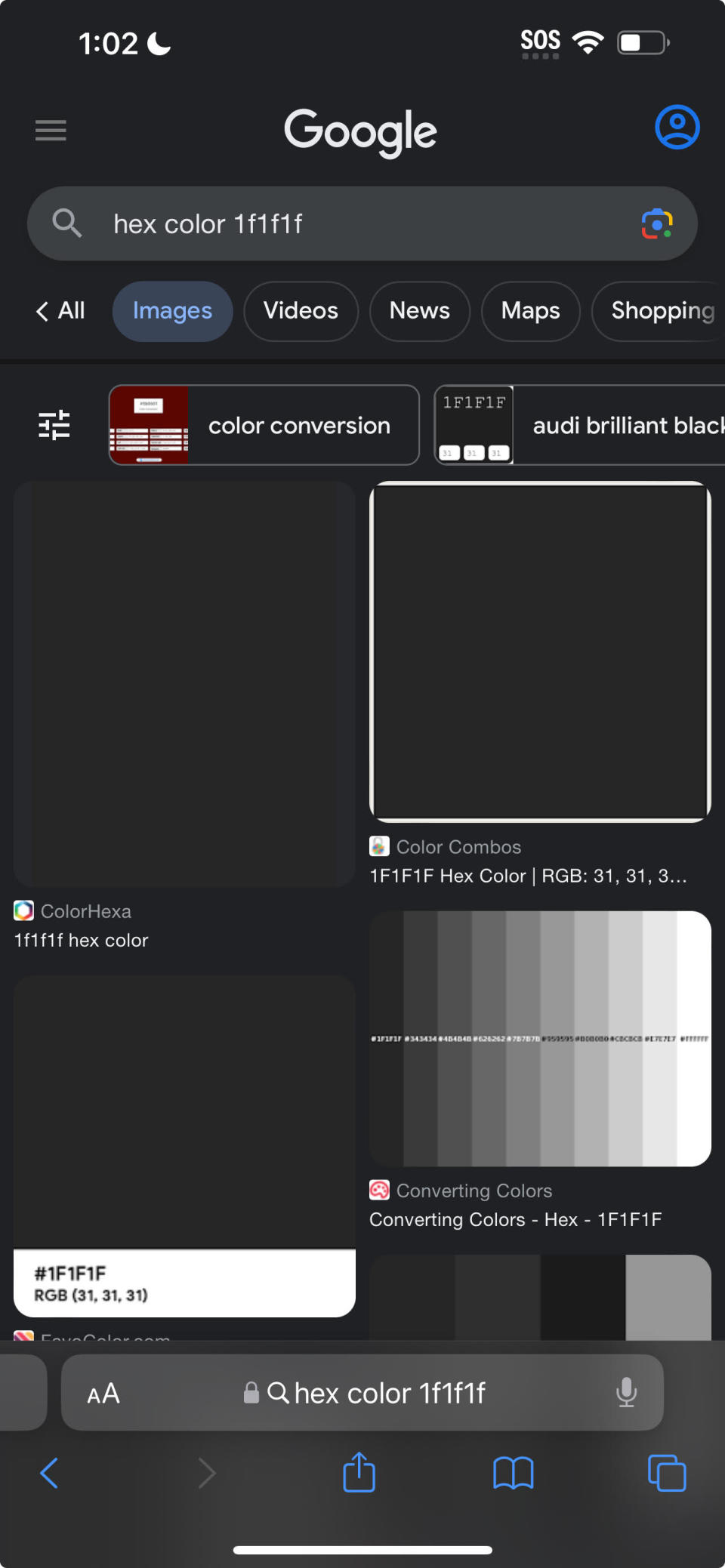 hex color 1f1f1f