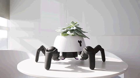 Robot Planter Will Walk In and Out of Sunlight