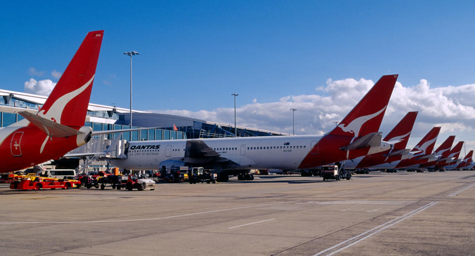 Qantas planes lined up at airport.