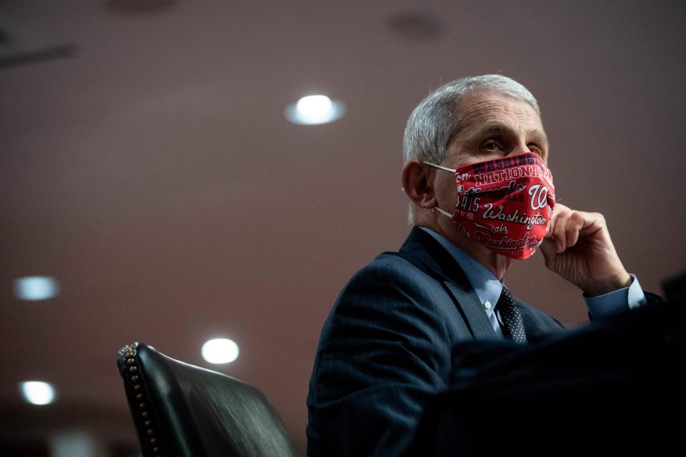 Anthony Fauci, director of the National Institute of Allergy and Infectious Diseases, wears a face covering during a Senate committee hearing in Washington, D.C., in June. (Photo: AL DRAGO via Getty Images)