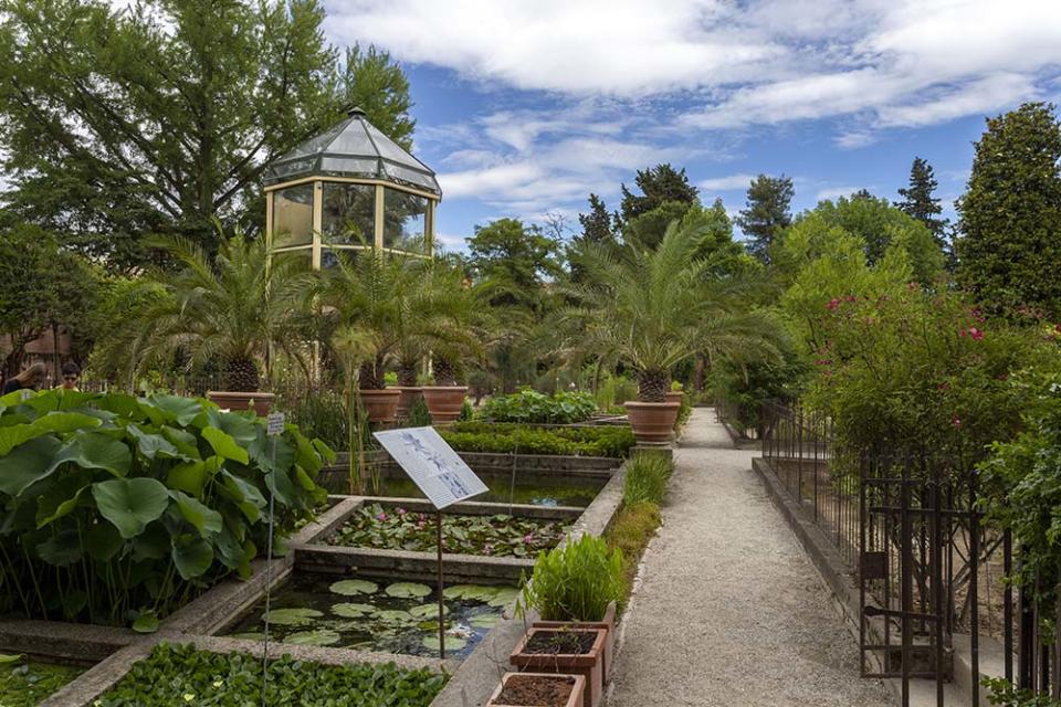 帕多瓦植物園（Image Source : Getty Creative）