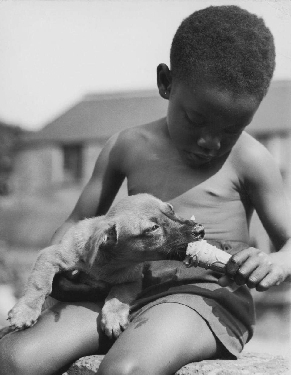 <p>I can't think of anything more precious than seeing this little boy share an ice cream cone with his pup. I'm not crying, you're crying.</p>