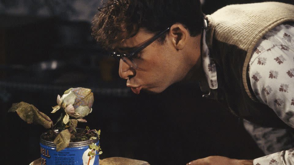 Rick Moranis with the plant Audrey II in "Little Shop of Horrors," directed by Frank Oz and released in 1986. - Murray Close/Sygma/Getty Images