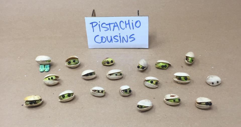 The pistachio puppets used for “Marcel the Shell With Shoes On.” - Credit: Maria Andreotti