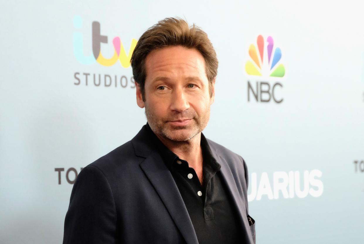 David Duchovny had his cab stolen by some fans. Photo from Getty Images