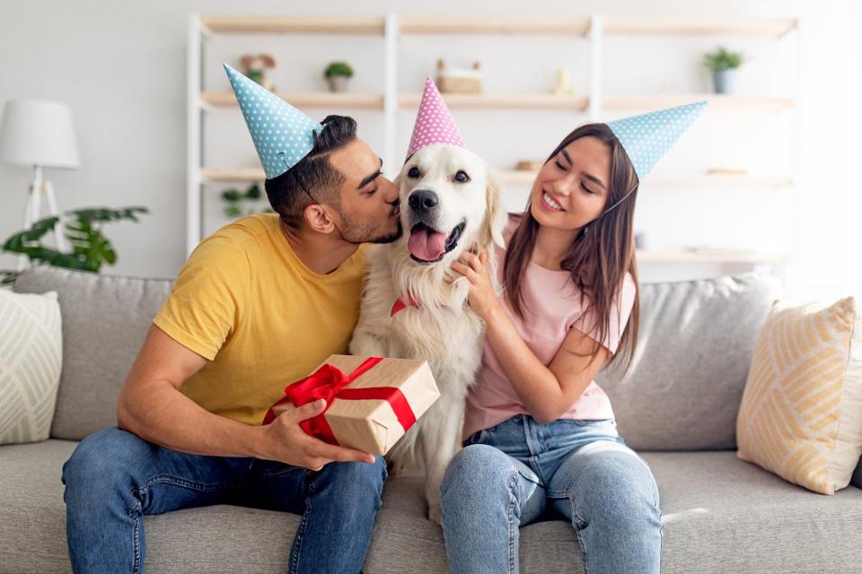 man and woman giving their dog a gift for his gotcha day