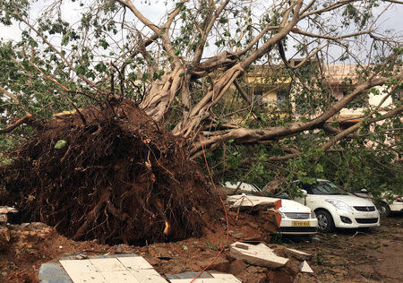 Cars are damaged by an uprooted tree in a residential area following Cyclone Fani in Bhubaneswar, Odisha, May 4, 2019. REUTERS/Jatindra Dash