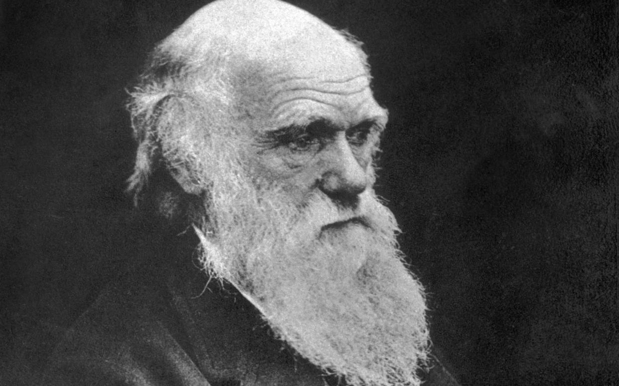 English naturalist and co-originator of the theory of evolution, Charles Darwin - HULTON ARCHIVE