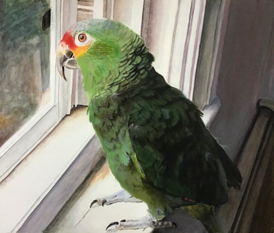 "Green Bird in the Window"