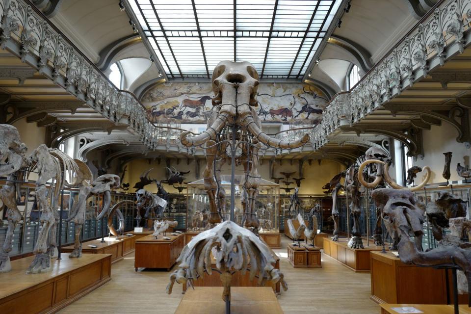 14) Muséum National d'Histoire Naturelle