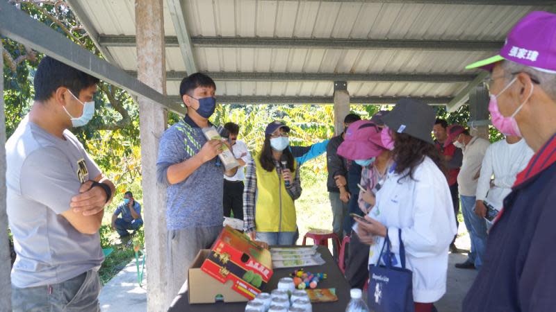 友善耕作新思維！臺東場鳳梨釋迦果園觀摩會